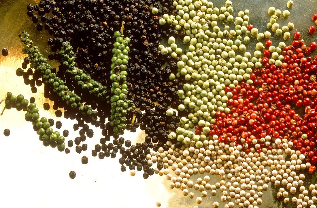 Verschiedene Pfefferkörner, weiß, grün, rot, schwarz