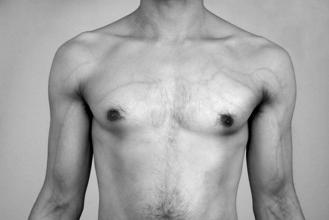 Human torso,infrared image