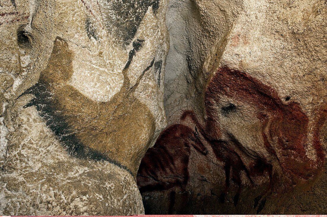 Lascaux II cave painting replica
