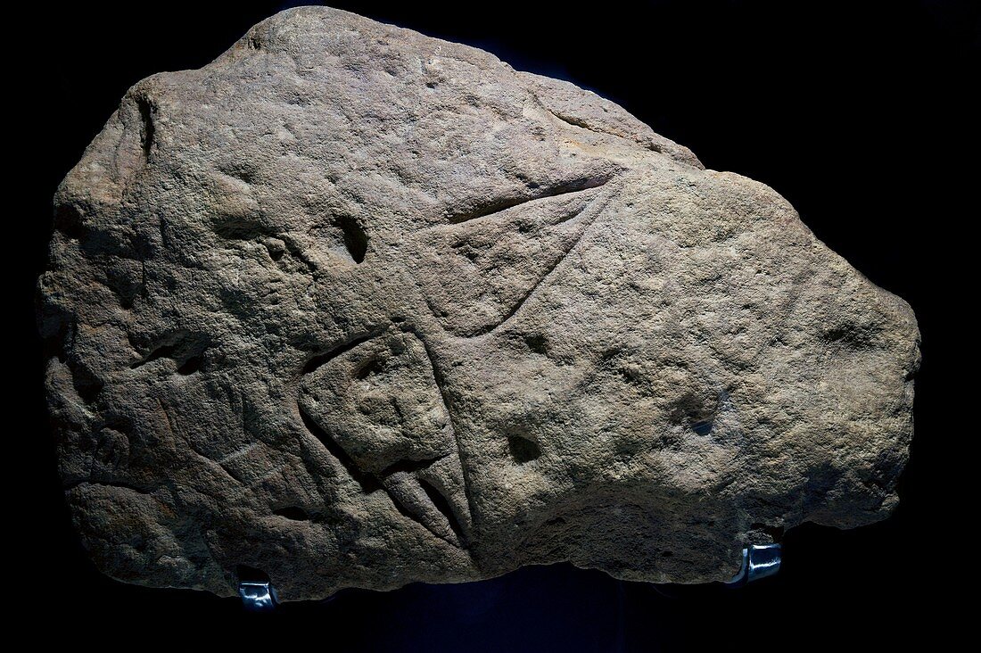 Prehistoric carving,Aurignacian culture