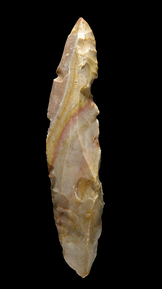 Prehistoric flint,Aurignacian culture