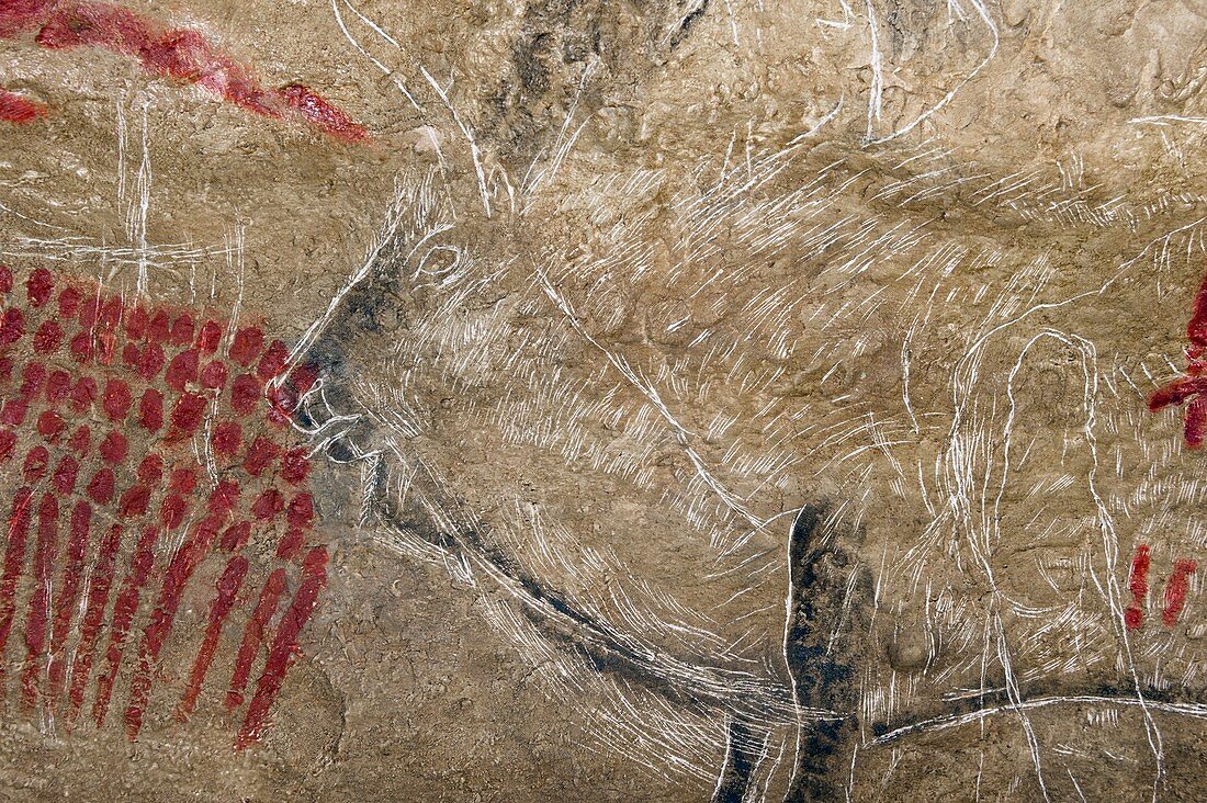 Marsoulas cave painting replica