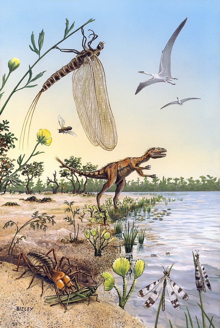 Cretaceous of Brazil,prehistoric scene