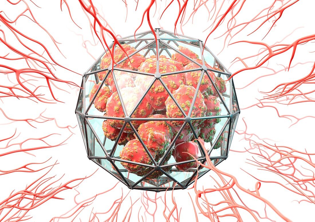 Angiogenesis inhibitors,conceptual image