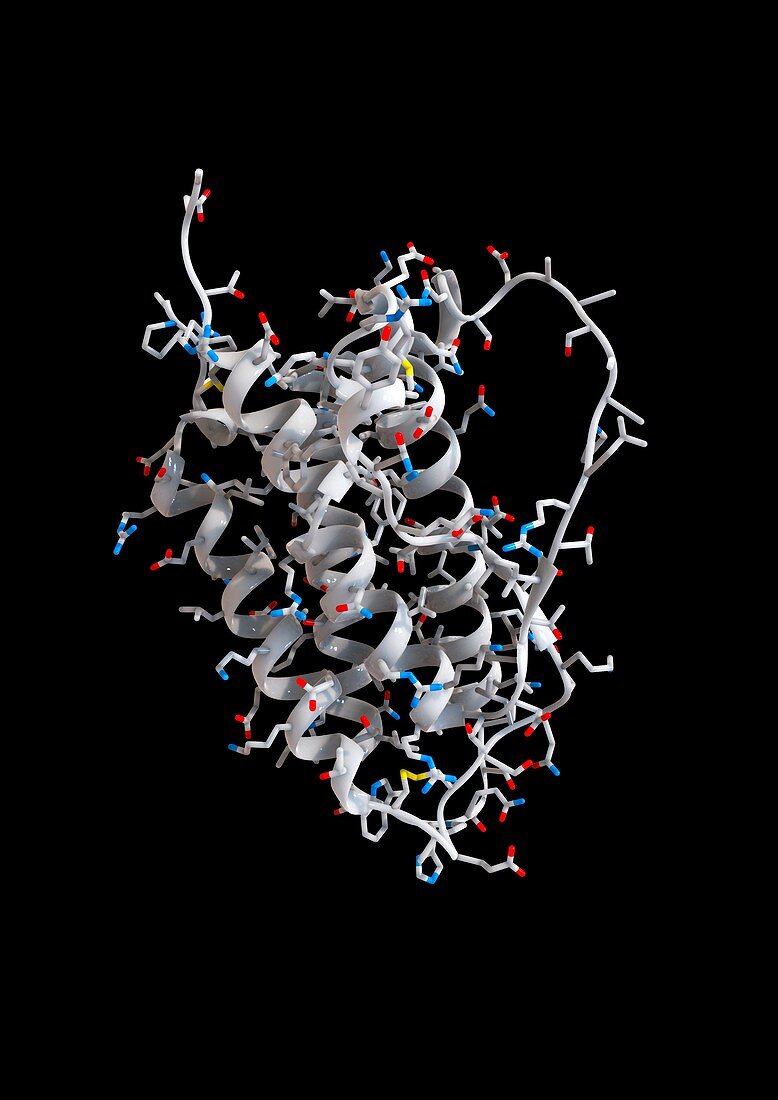 Erythropoietin molecule