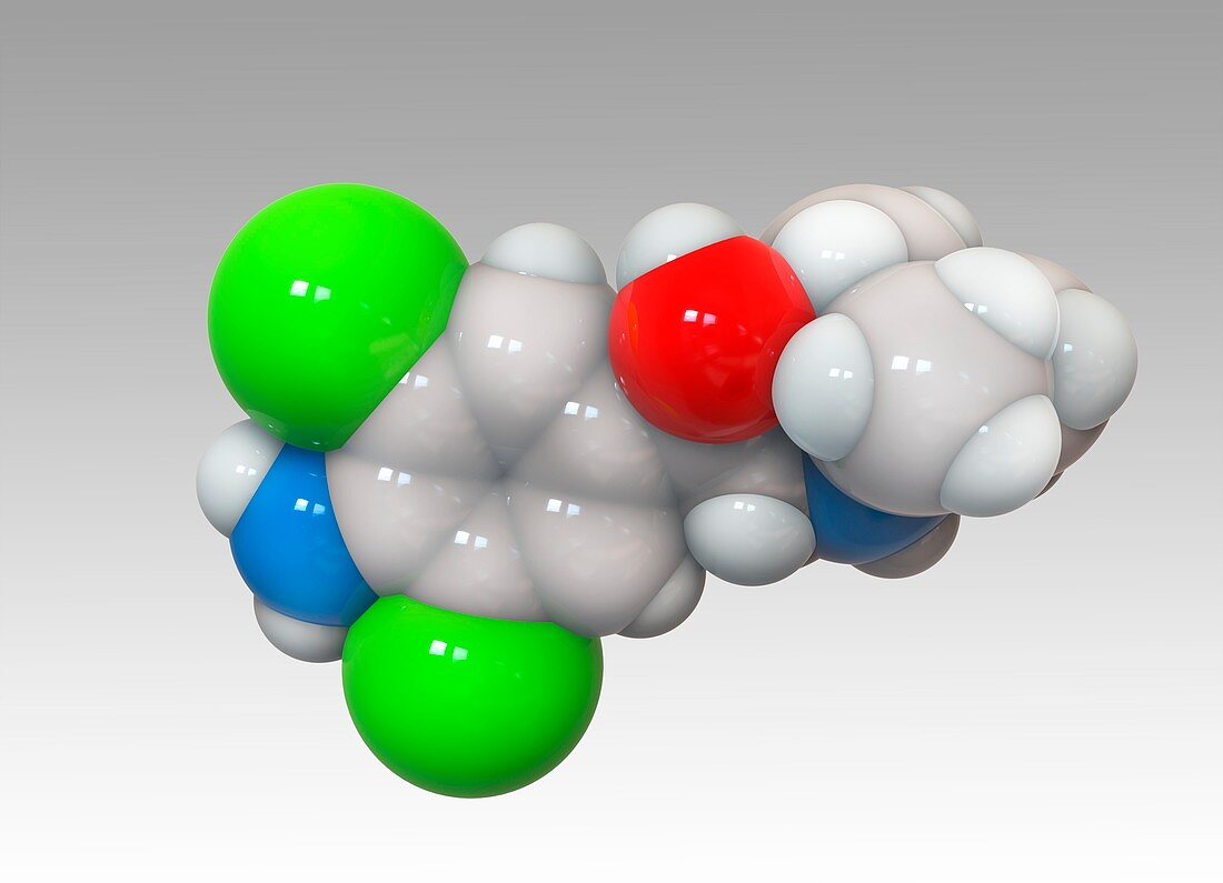 Clenbuterol bronchodilator drug molecule