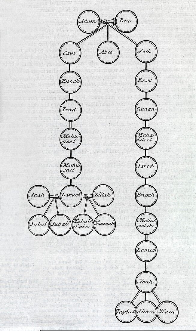 Adam and Eve family tree,18th century