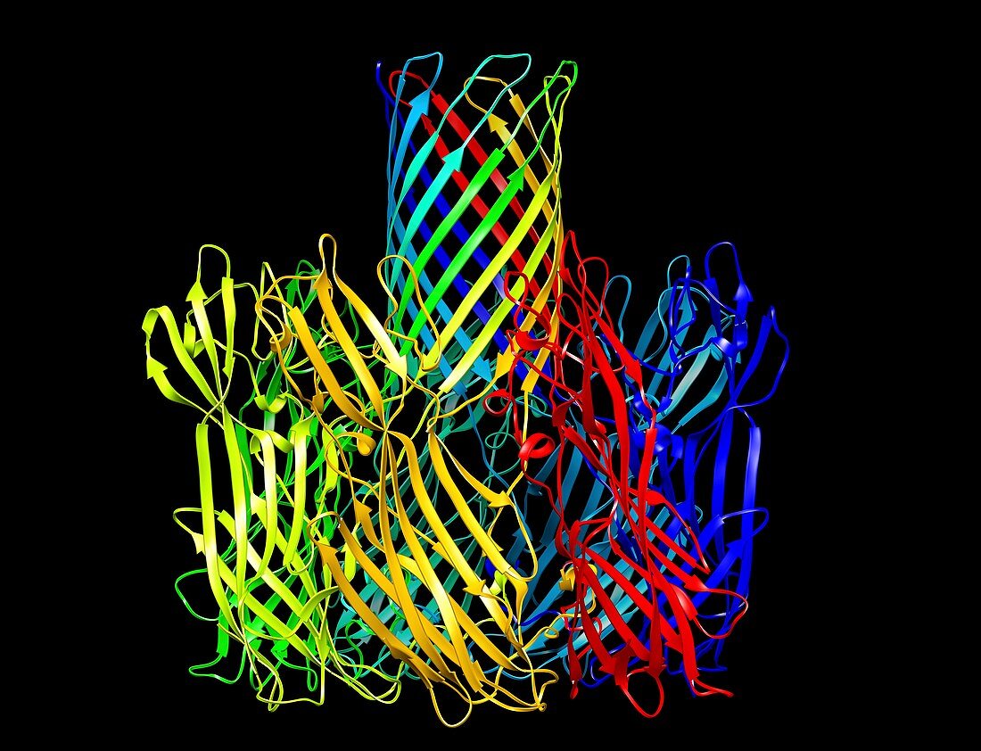 Pore protein from staphylococcus aureus