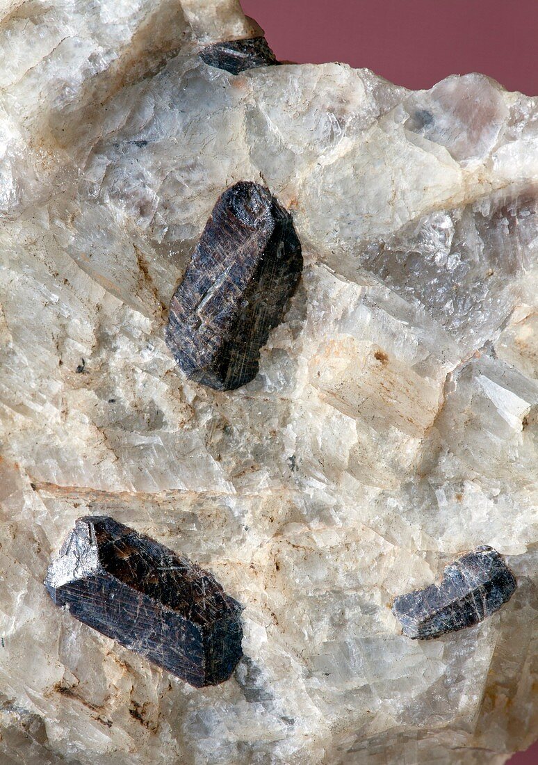 Titanite crystals in feldspar
