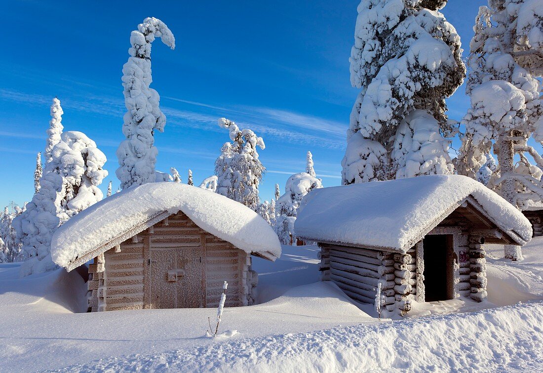 Huts in forest after heavy snowfall