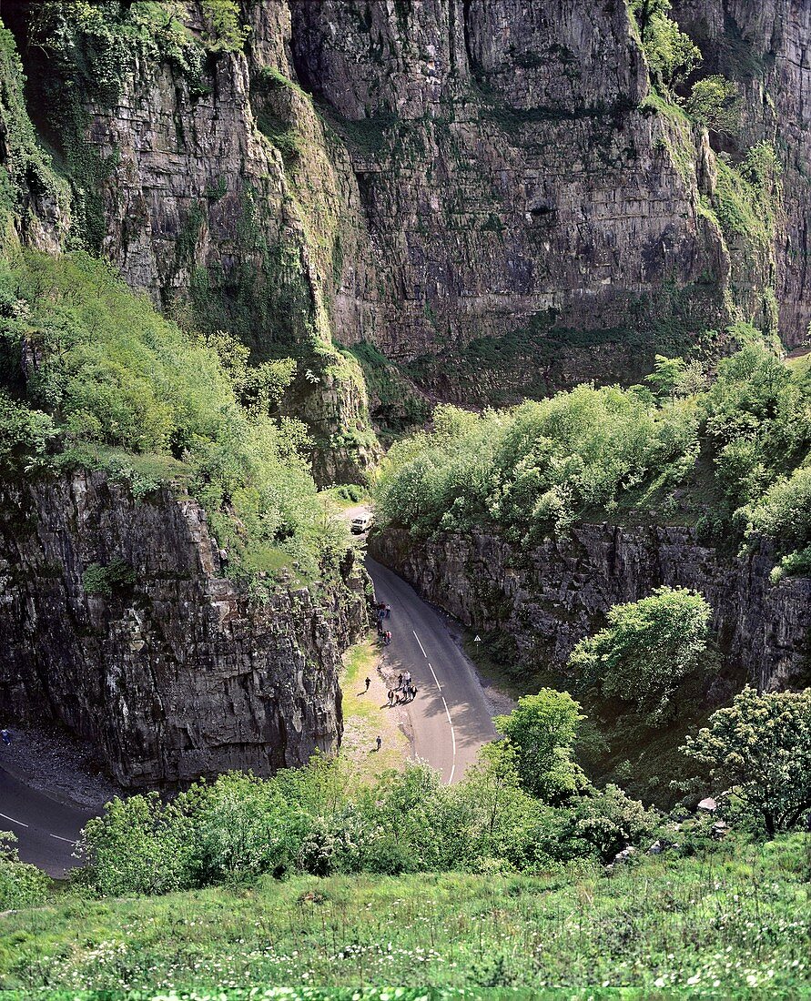 Cheddar Gorge and road