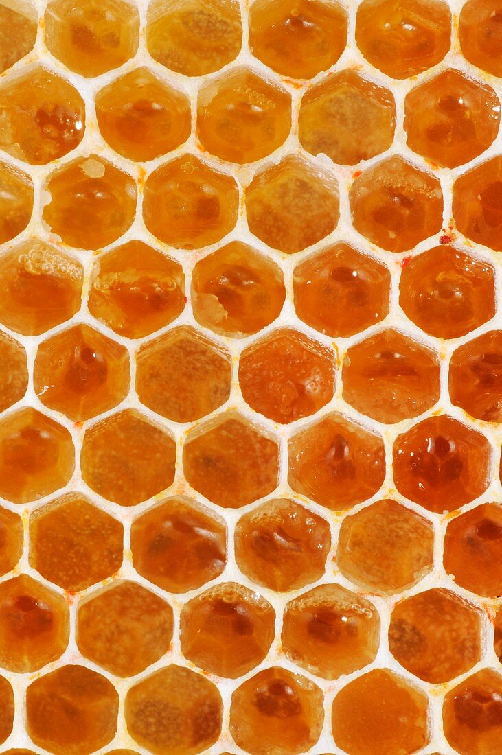 Uncapped honeycomb