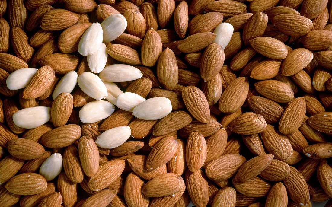 Shelled and Blanched Almonds
