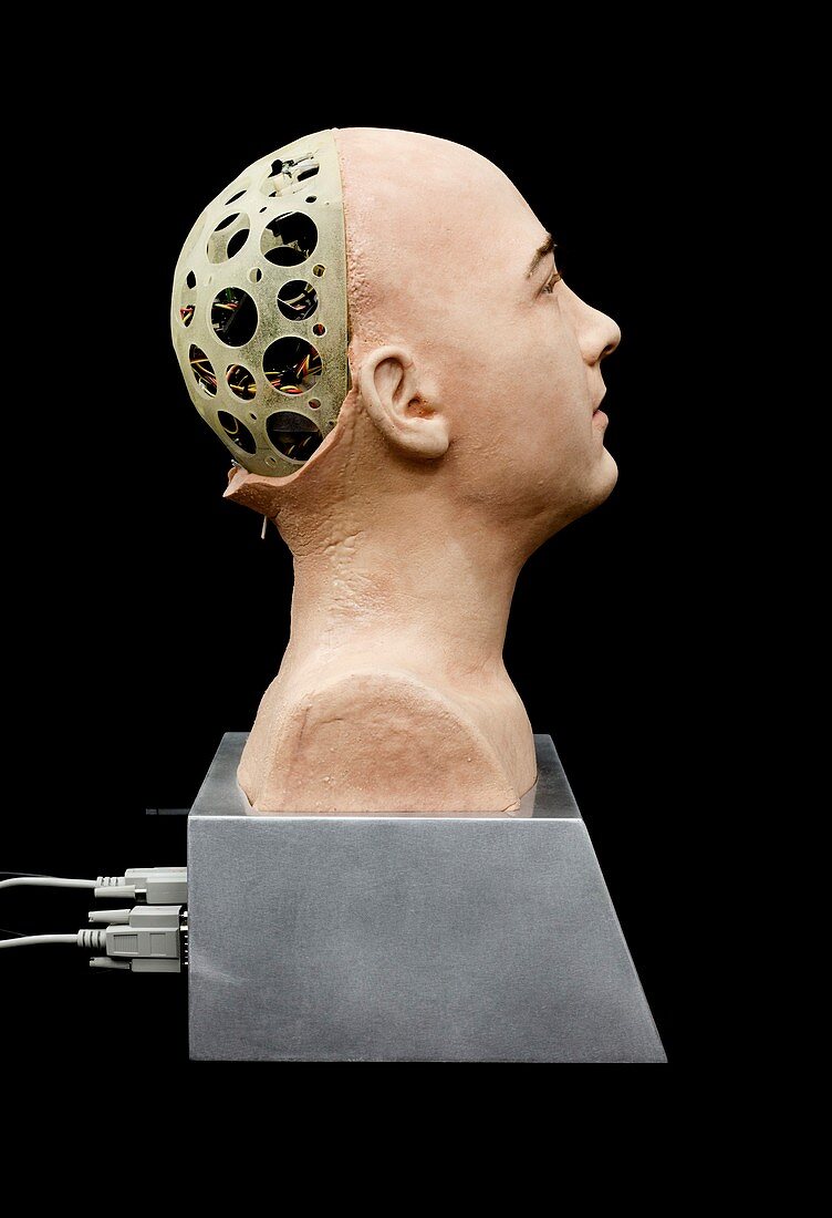 Jules,robot head
