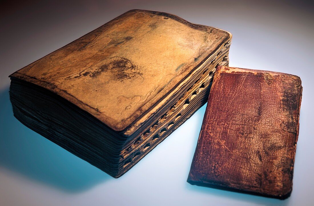 Dictionary and notebook from the Titanic