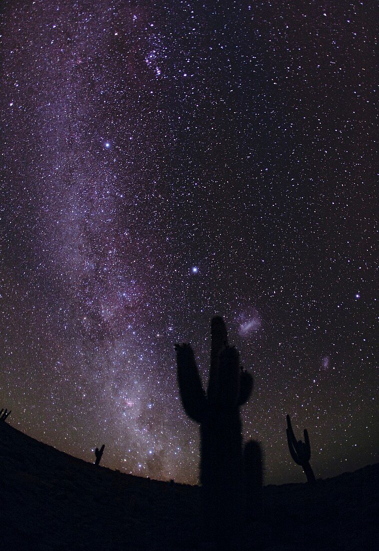 Stars over cacti