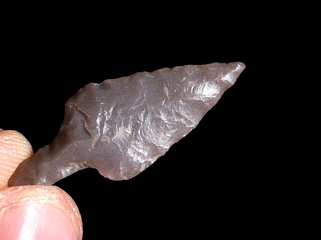 Neolithic flint arrowhead