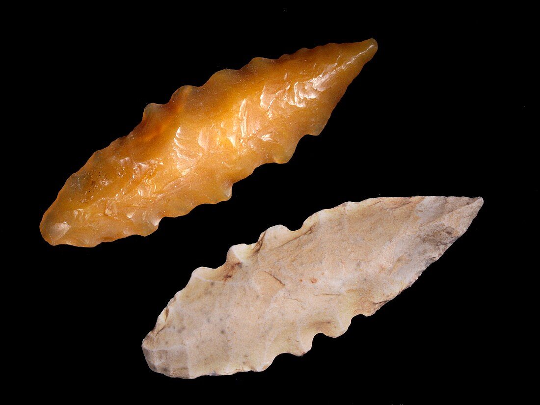 Neolithic flint arrowheads
