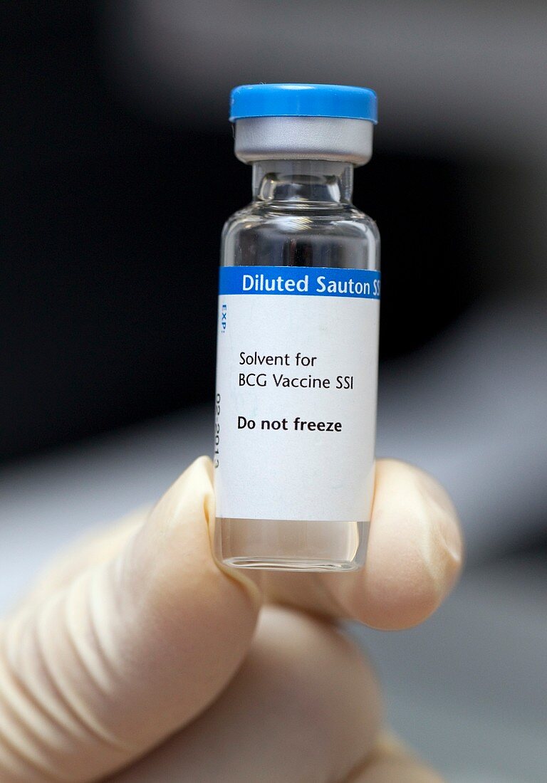 BCG vaccine solvent