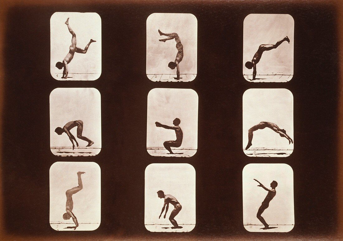 Muybridge motion study,1870s