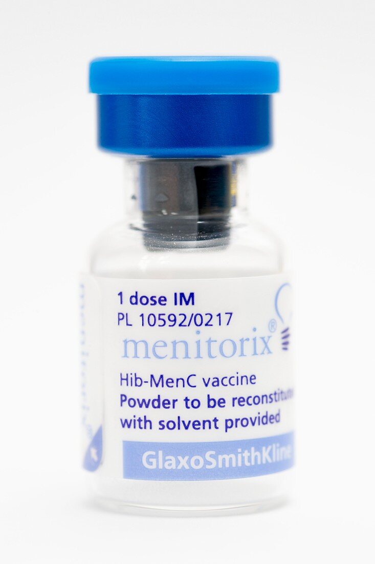 Menitorix combined vaccine