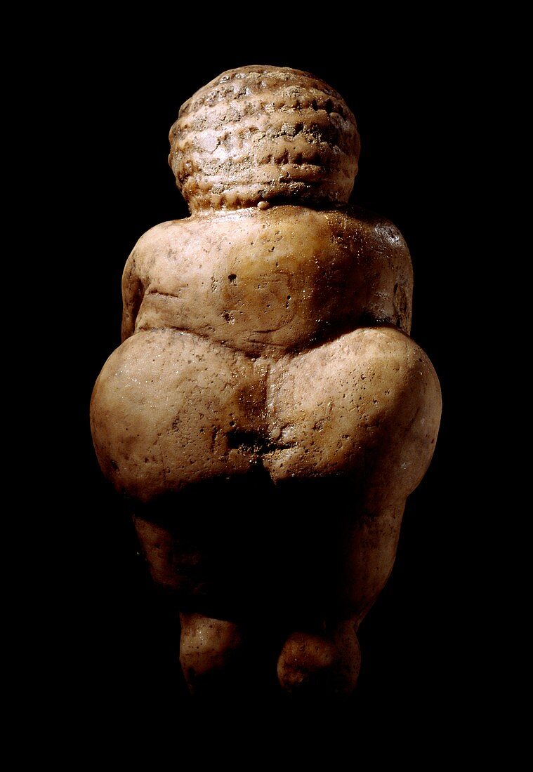 Venus of Willendorf,Stone Age figurine
