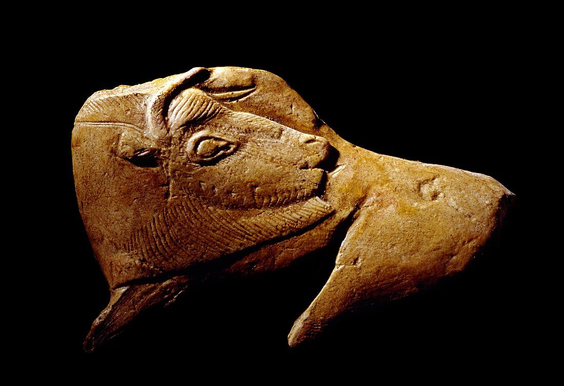 Stone Age carving,Magdalenian culture
