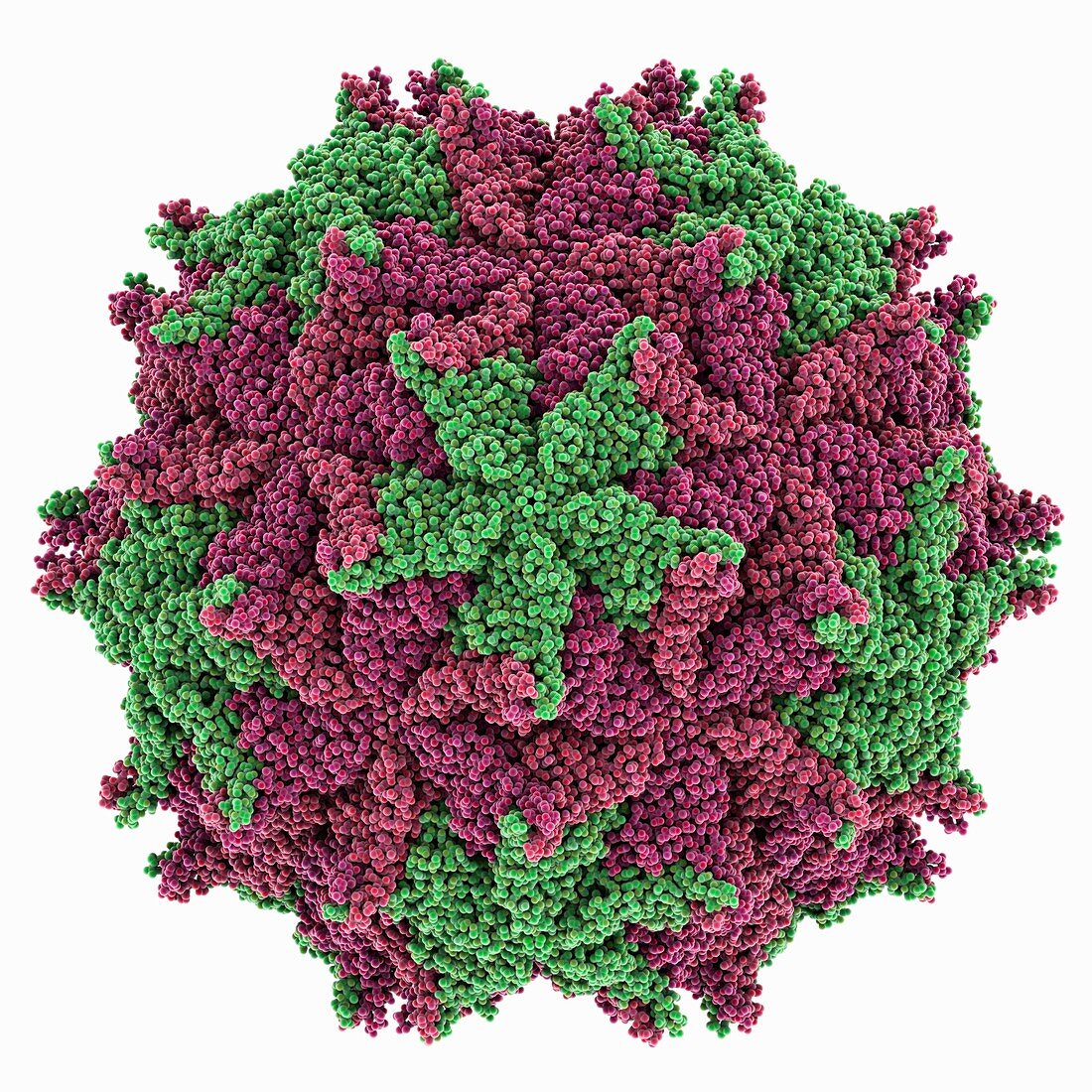 Nodamura virus capsid,molecular model
