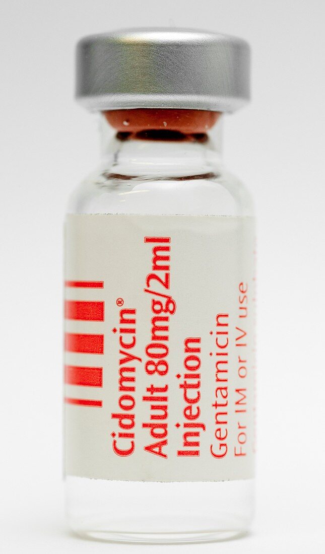 Gentamicin antibiotic drug