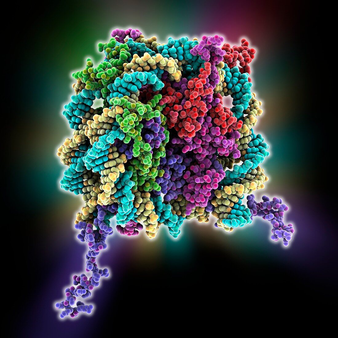 DNA nucleosome,molecular model
