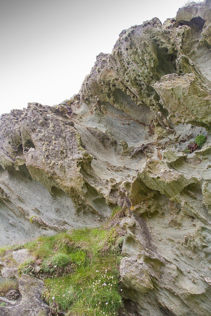 Eroded rock due to coastal winds