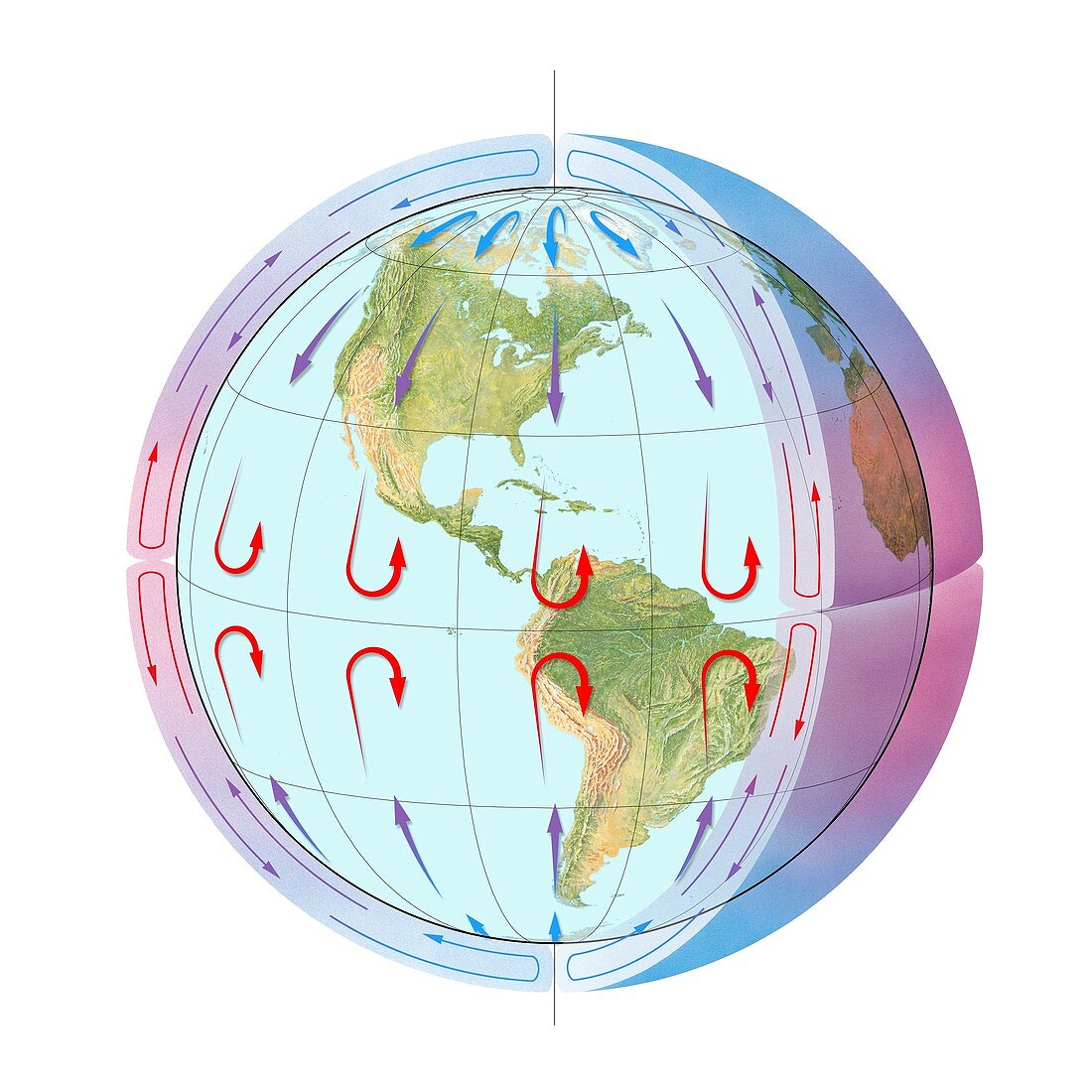 Global winds,non-rotating model
