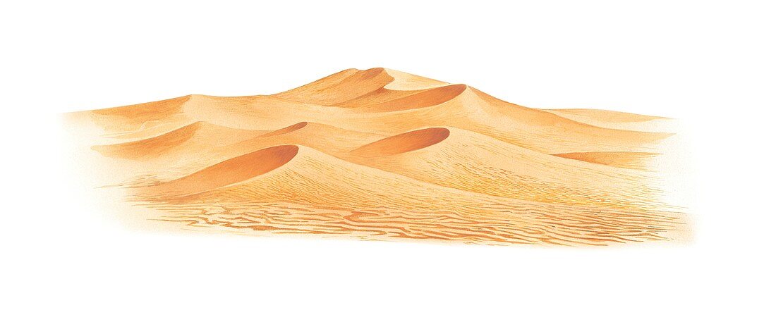 Sand dunes,artwork