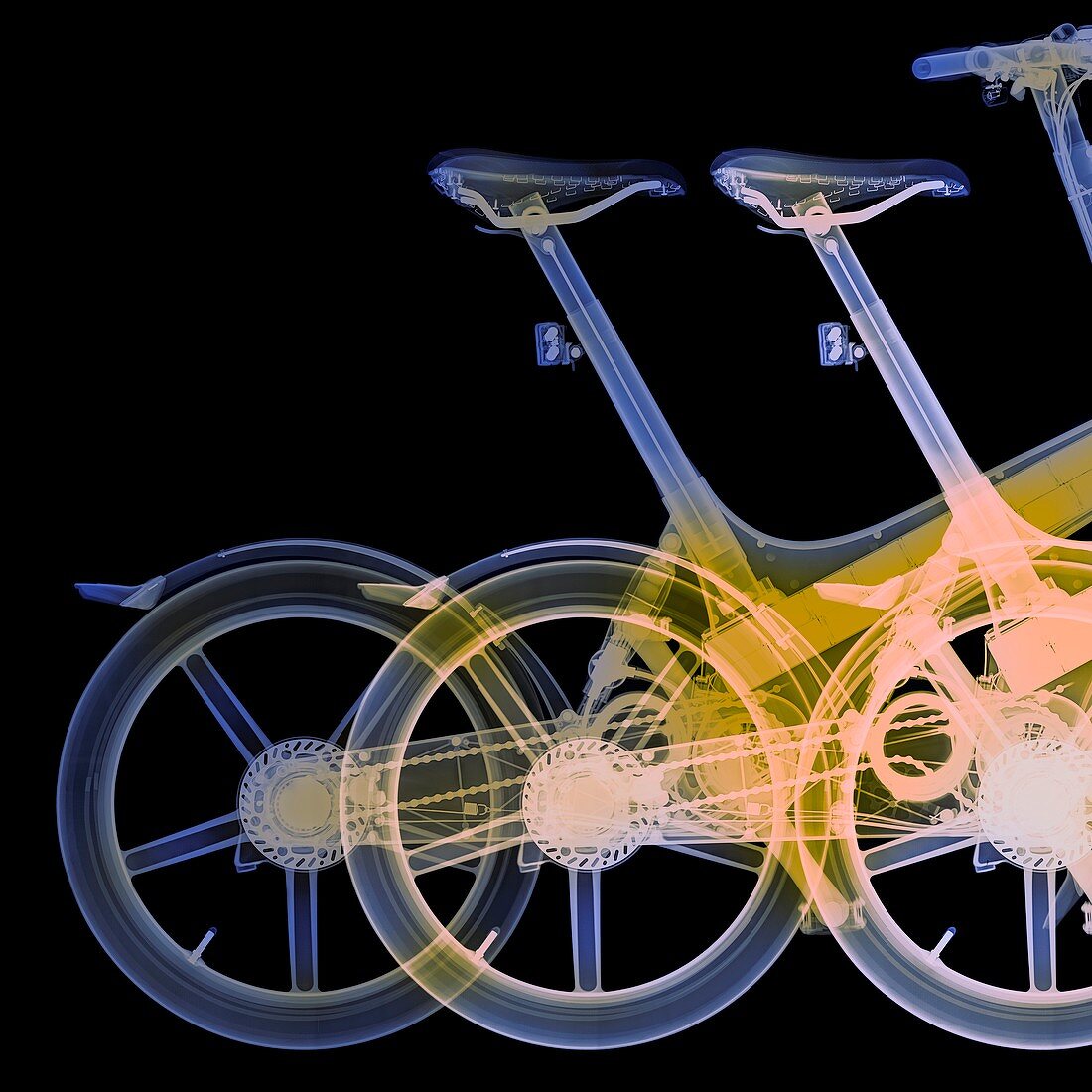 Bikes,X-ray