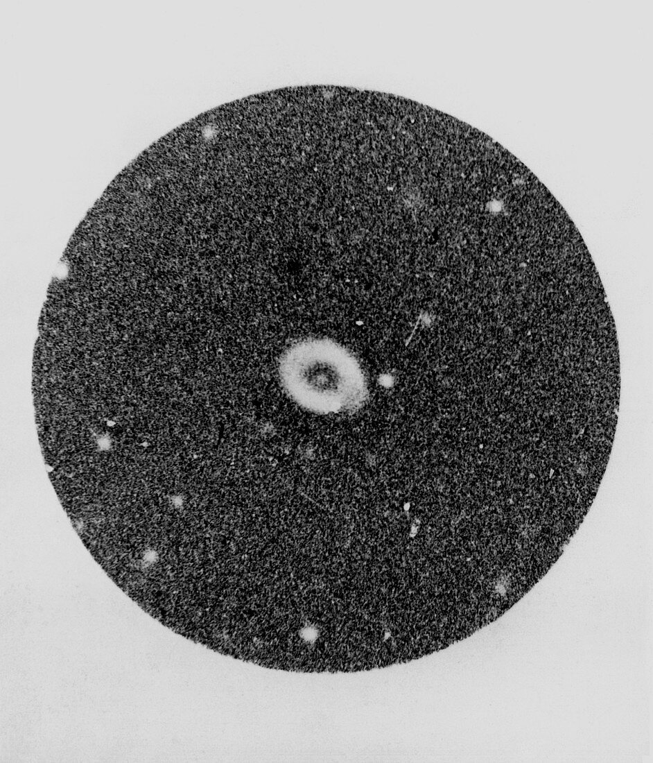Ring Nebula,19th century