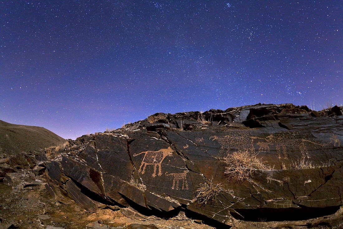 Stars over rock carvings
