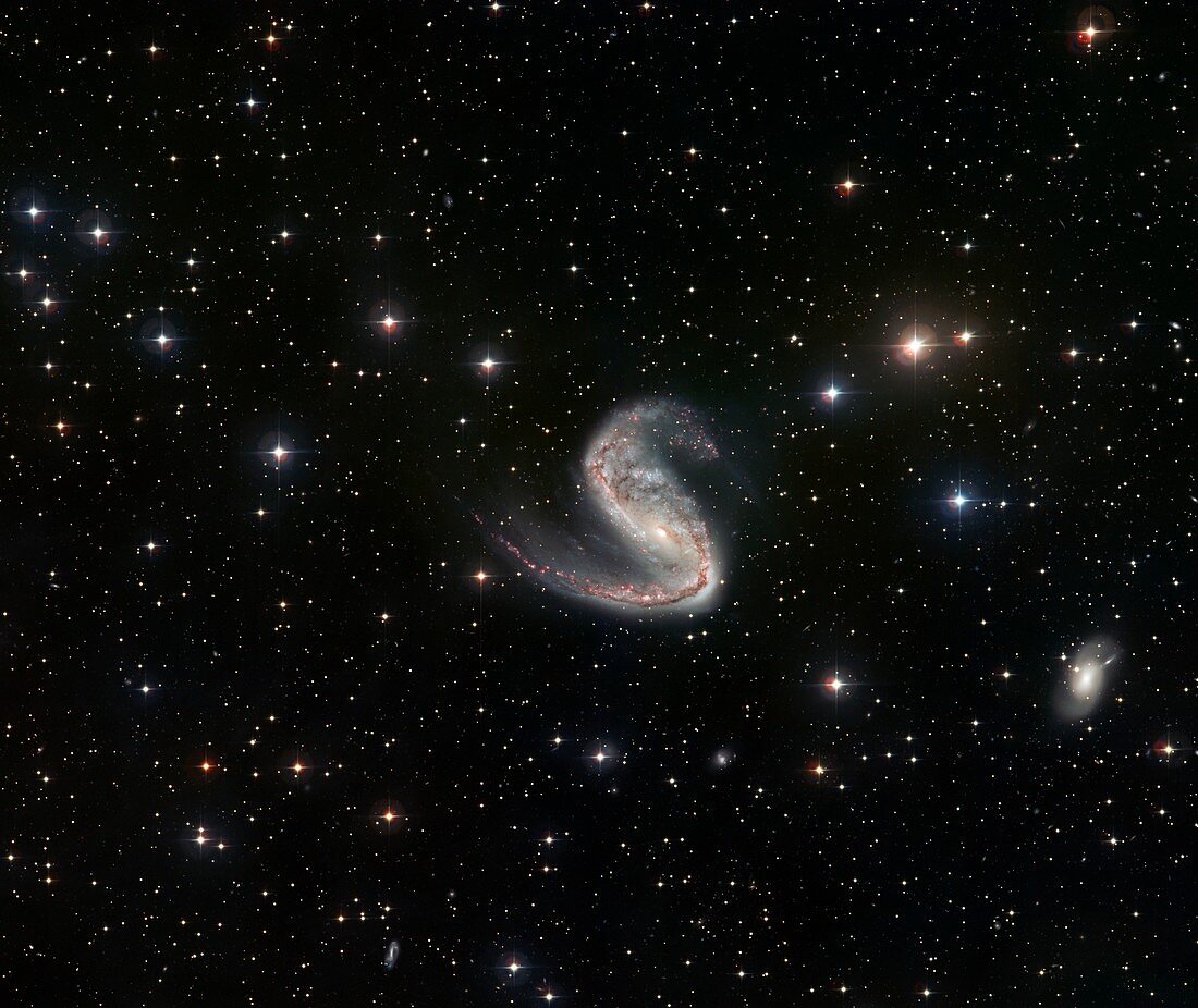 Meathook Galaxy (NGC 2442)