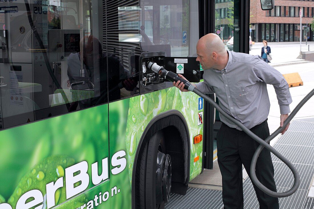 Hydrogen fuel cell bus