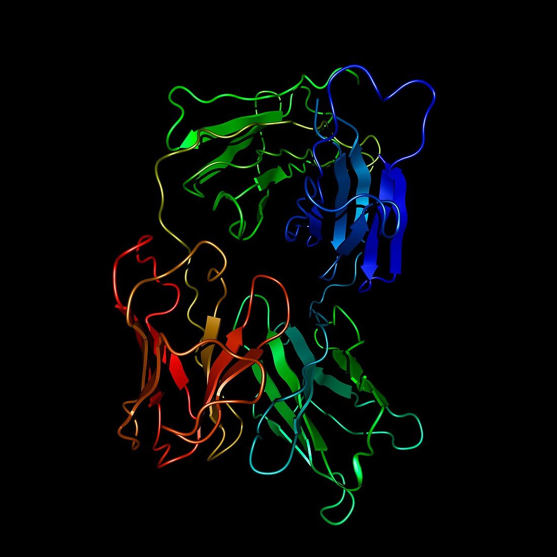 Alemtuzumab antibody molecule