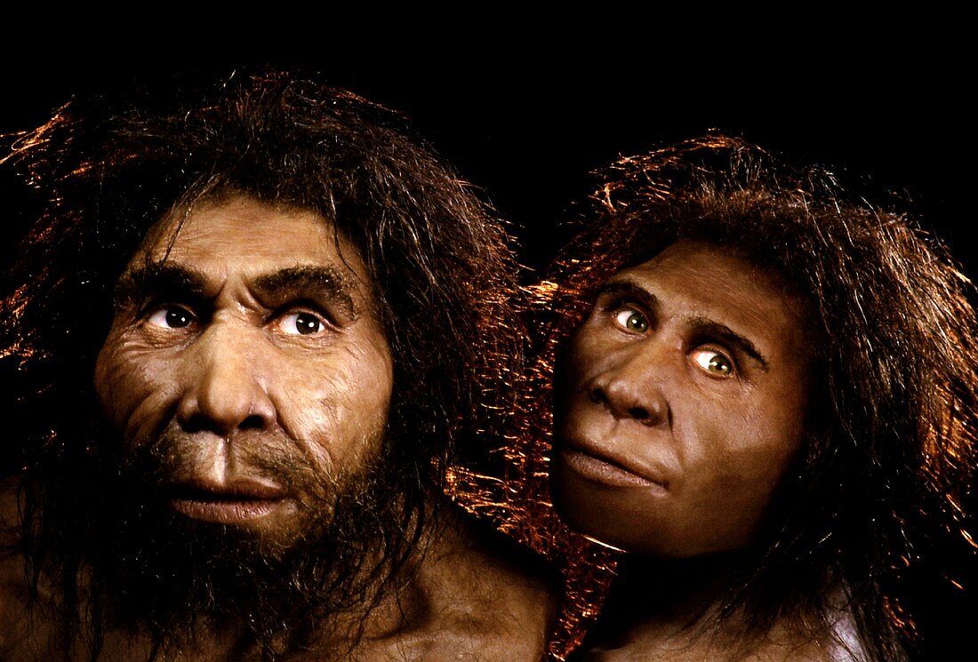 Model of Homo georgicus couple