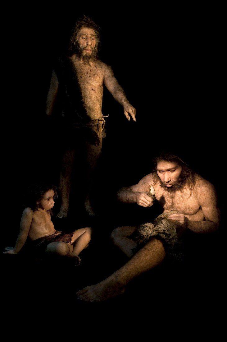 Neanderthal culture,reconstruction
