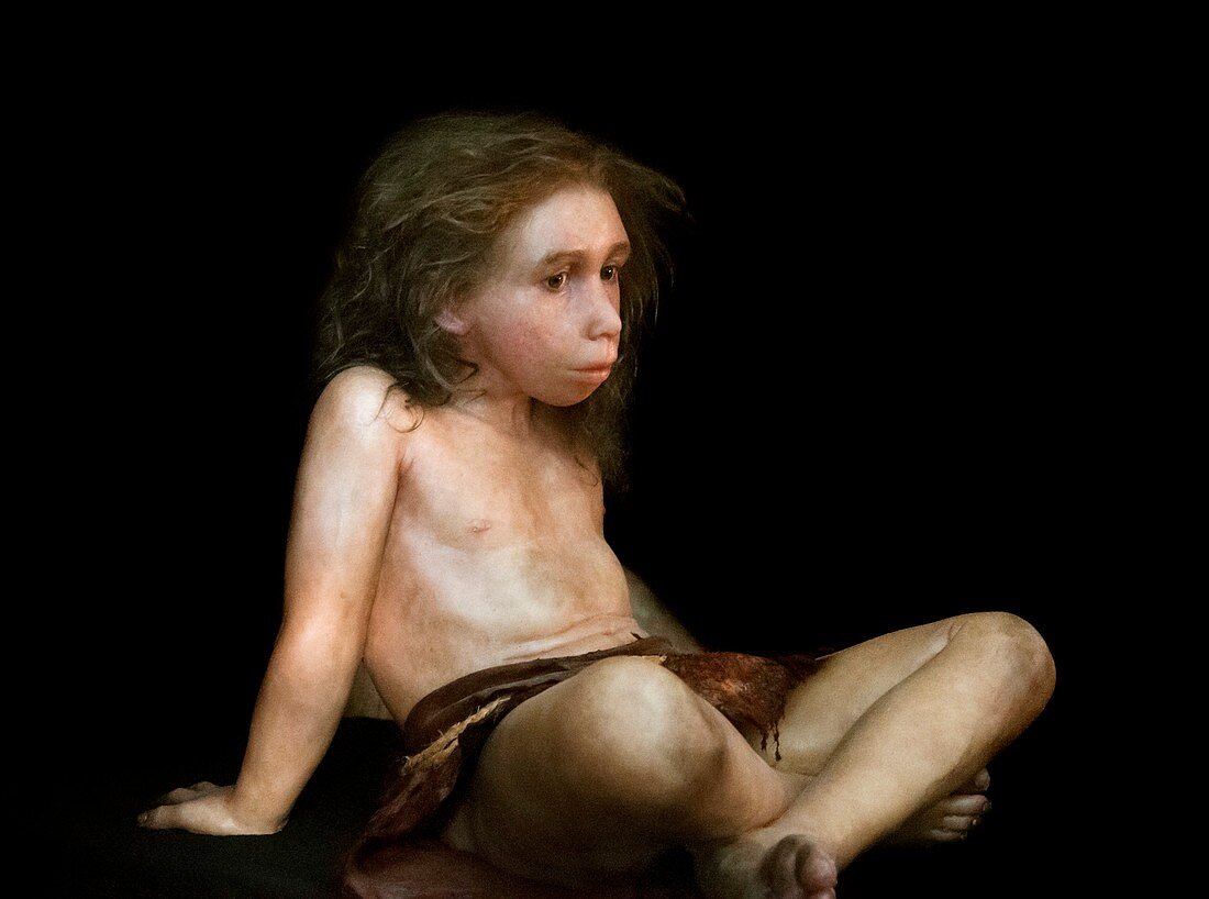 Model of a Neanderthal child