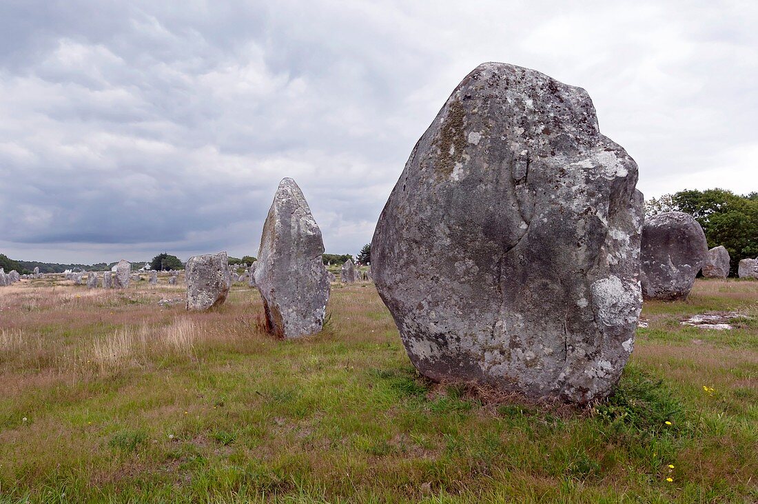 Carnac stones