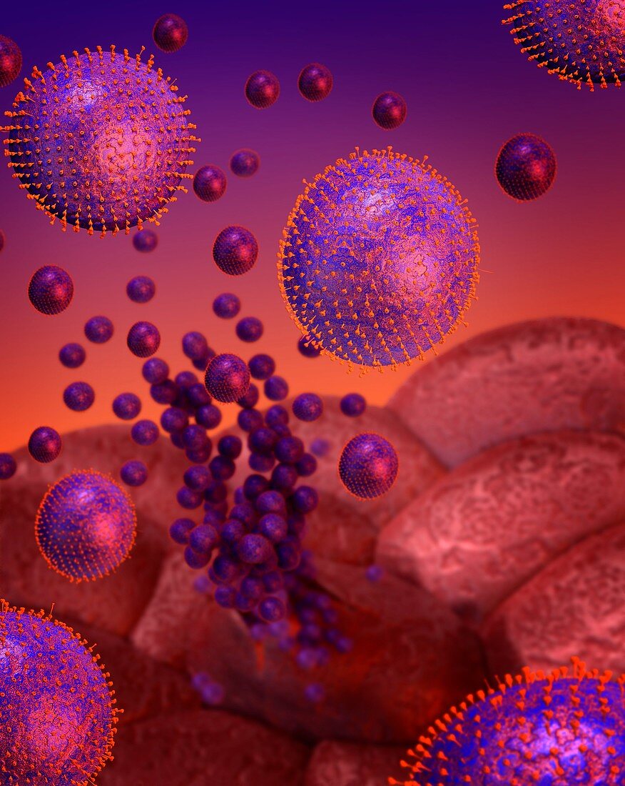 Flu virus infection,conceptual image
