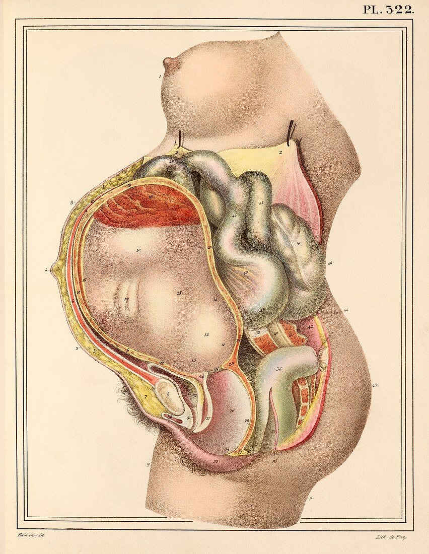 Pregnant woman,1825 artwork
