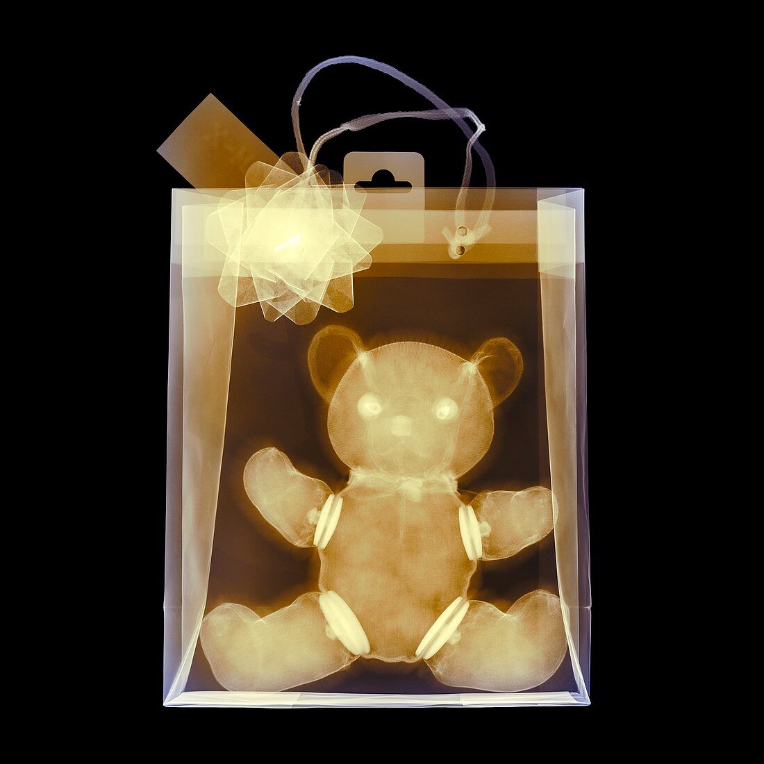 Coloured x-ray of a Teddy bear toy