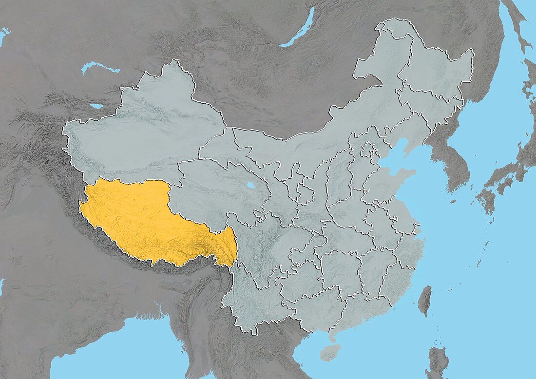 Tibet,China,relief map