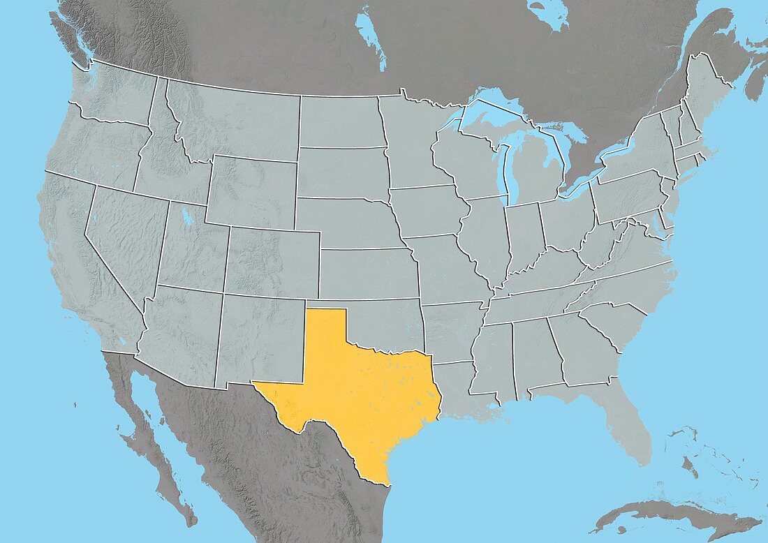 Texas,USA,relief map