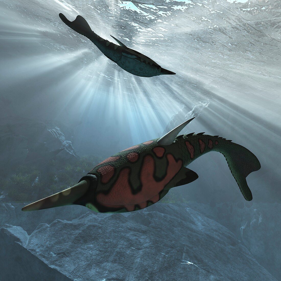 Pteraspis prehistoric fish,artwork