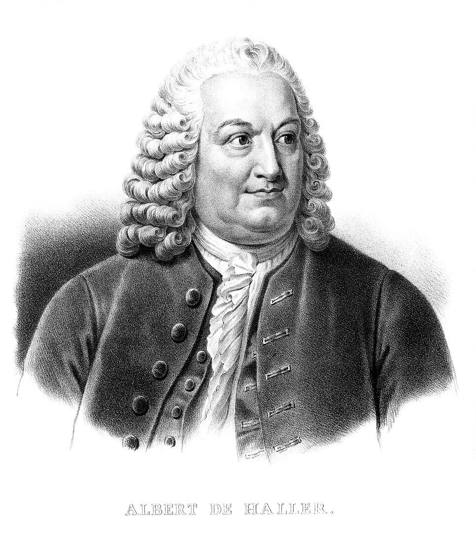 Albrecht von Haller,Swiss anatomist